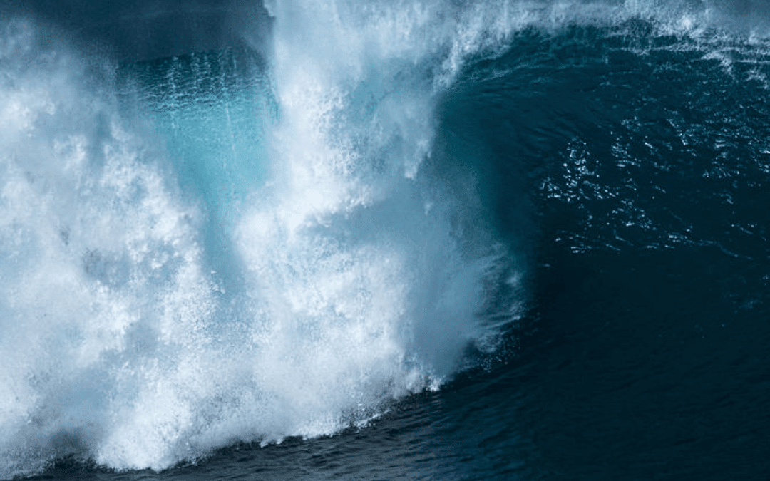 Tidal Waves in Insurance 2020